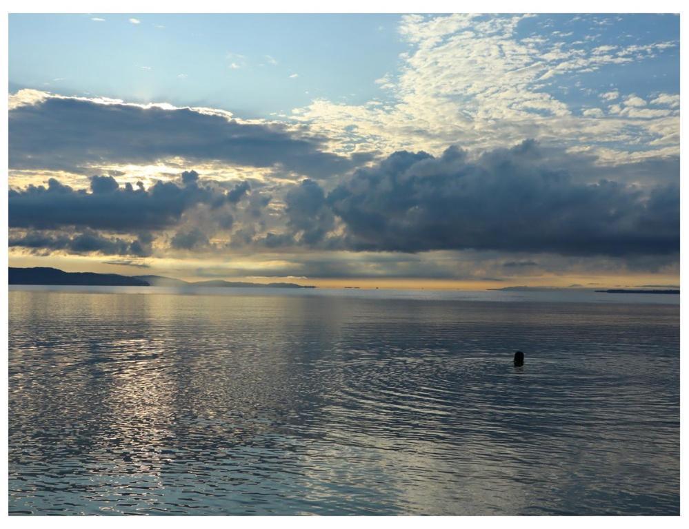 ホテル Terrazas Del Golfo La Palma エクステリア 写真
